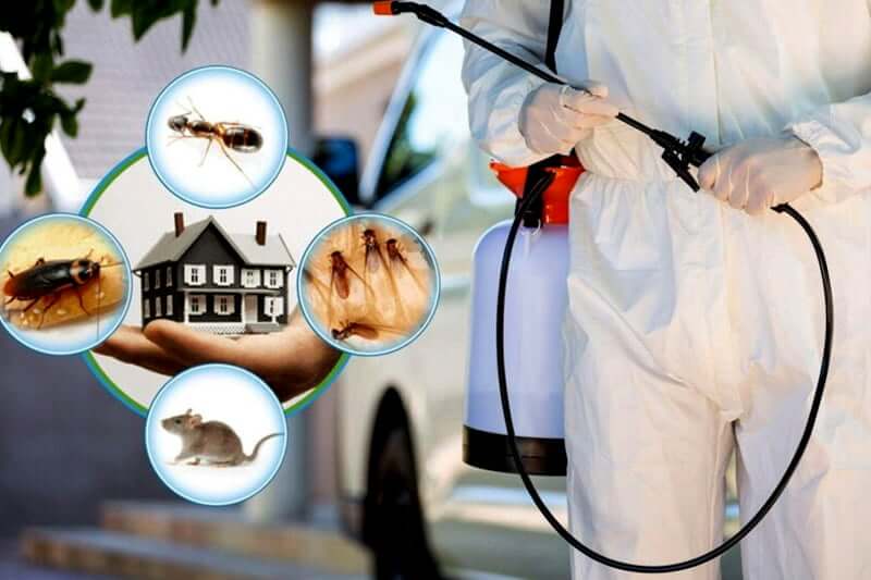 pest control insurance